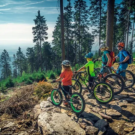 Ruzova Pod Klinovcem בקתה