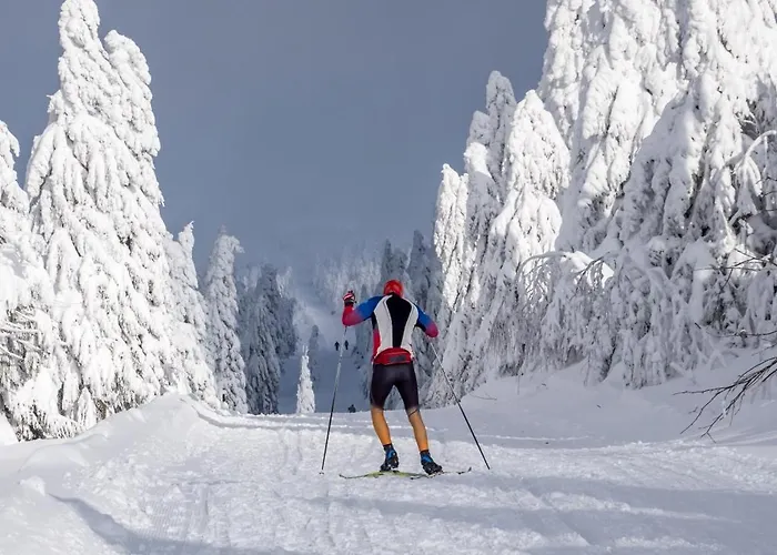 Ruzova Pod Klinovcem *