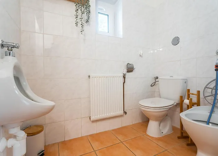 Ruzova Pod Klinovcem *